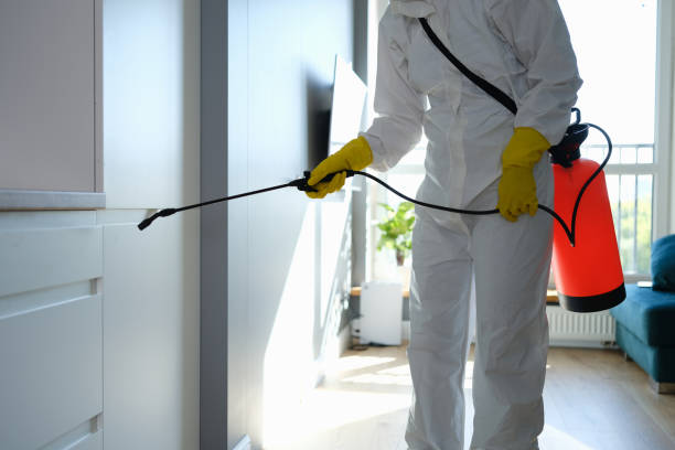 Best DIY Mold Remediation Support Services in Flemington, GA